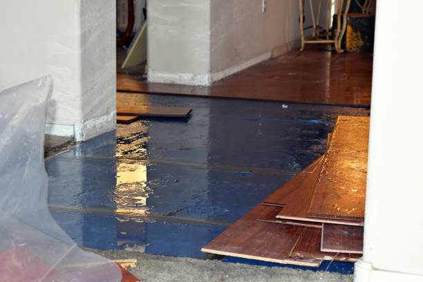 Professional Water Extraction technician working in Leslie, MO